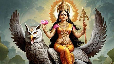 माता लक्ष्मी को क्यों कहा जाता है उलूक वाहिनी, जानिए इसकी मुख्य वजह