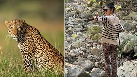 Mouni Roy Heard Leopard Roar