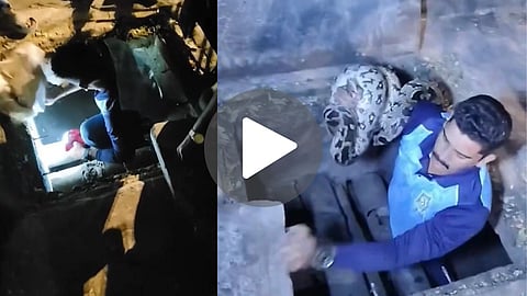 Mumbai Python Rescue Viral Video