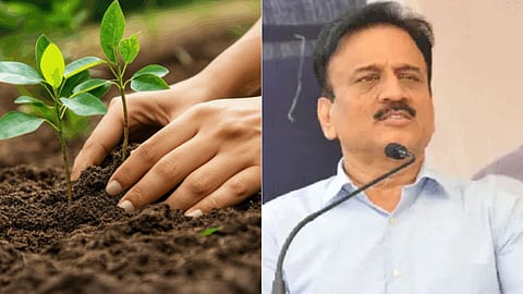 तपोवन में पेड़ कटाई पर NGT की रोक