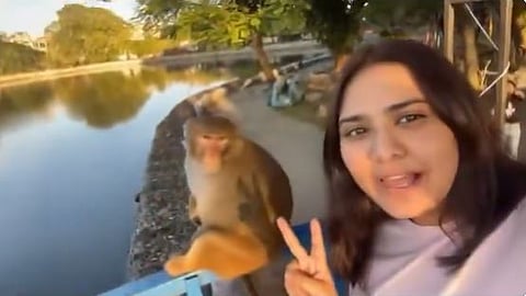 A girl trying to take a selfie with a monkey was suddenly attacked, and the viral video sparked humorous reactions online.