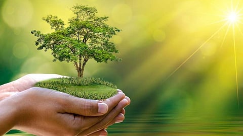 World Soil Day