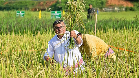 Kharif Fasal Nuksan: अमरावती में खरीफ फसल नुकसान के अनुदान का वितरण जारी। 33 हजार में से 73% किसानों को राशि मिली, 4 हजार खातों में तकनीकी अड़चनें। डीबीटी प्रणाली जल्द सुधरेगी।