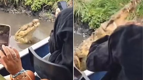 A viral video showing a crocodile attacking a tourist boat during jungle safari has sparked fear and debate over whether it is AI-generated.