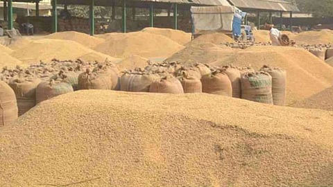 Gondia Bonus Scam: गोंदिया के सालेकसा में धान बोनस योजना में 1.13 करोड़ का घोटाला सामने आया है। 3 संस्थाओं के 28 लोगों पर FIR दर्ज की गई है।