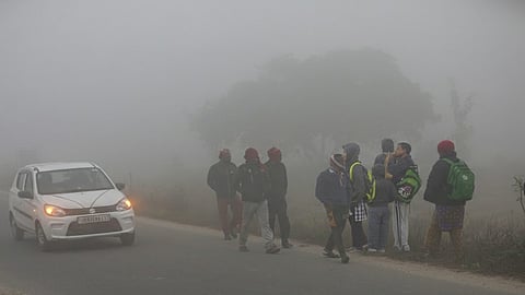 Fog in UP-Bihar and cold wave alert in Punjab-Haryana, know the complete weather condition