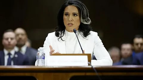 sydney-attack-tulsi-gabbard-islamist-threat-global-security-warning