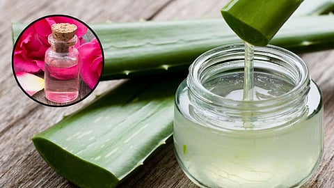 Aloe vera zel, Skin Care Tips