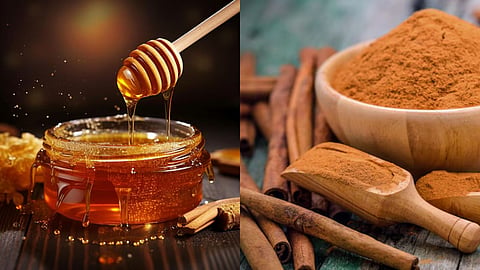 Cinnamon and Honey Health Benefits