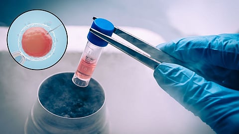 Egg Freezing,Health News
