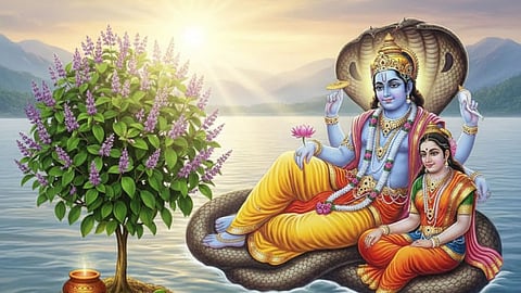 Jaya Ekadashi Tulsi Rules