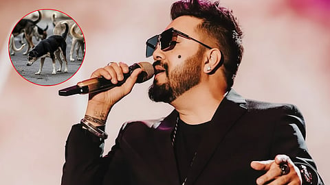 Mika Singh Supreme Court Appeal Stray Dogs