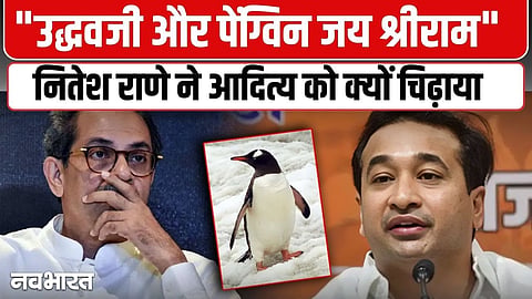 Nitesh Rane Viral Video