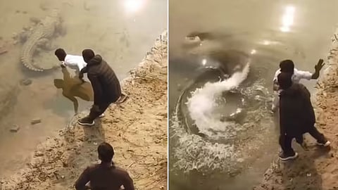 A viral video from Kasganj shows youths pulling a crocodile’s tail, prompting police action over wildlife harassment.