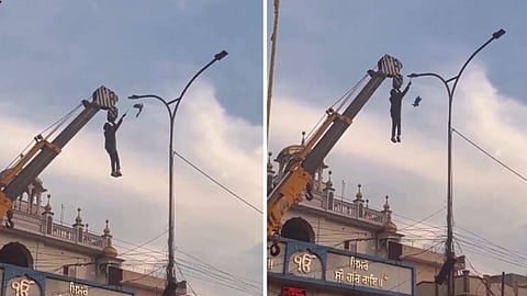 A man risking his life by hanging from a crane to rescue a trapped bird has won hearts on social media.