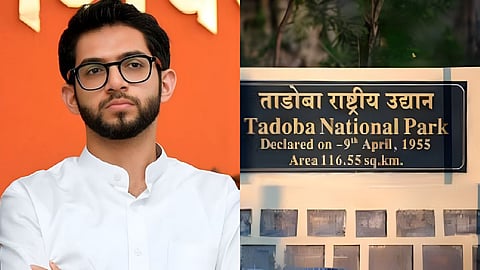 Aaditya Thackeray On Tadoba Mining Controversy