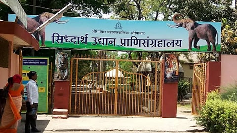 Chhatrapati Sambhajiganar Zoo Income Siddharth Garden Visitors