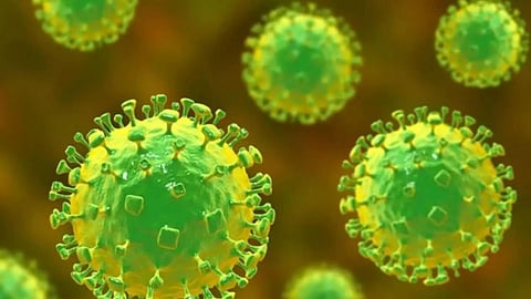 Nipah virus cases in India West Bengal