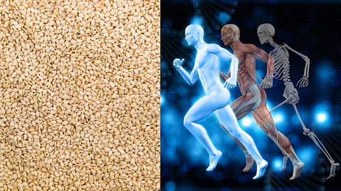 Sesame Seeds Benefits for Bones in Winter