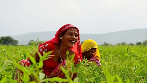 Maharashtra agriculture