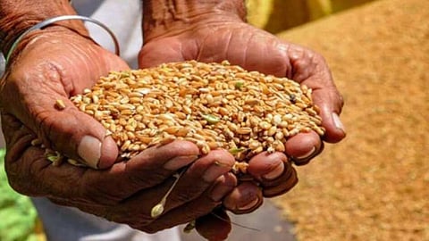 Ambarnath Ration Irregularities