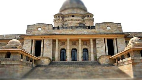 Bombay High Court Nagpur Bench On Environment Protection Cement Roads Tree Controversy