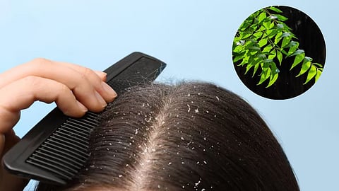 Neem Hair Pack