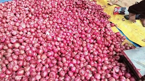 agriculture export scheme
