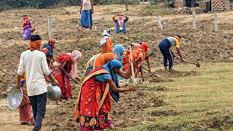MGNREGA