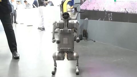 The robotic dog at AI Impact Summit 2026 showcased the future of advanced AI-driven security technology.