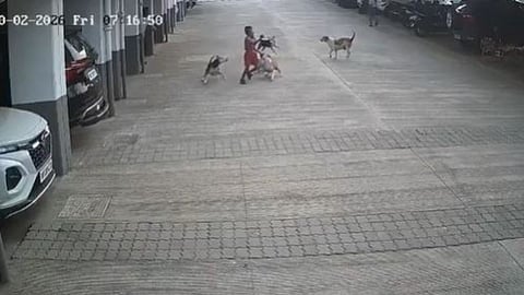 A stray dog attack on a school-going child in Pune has raised serious safety concerns.