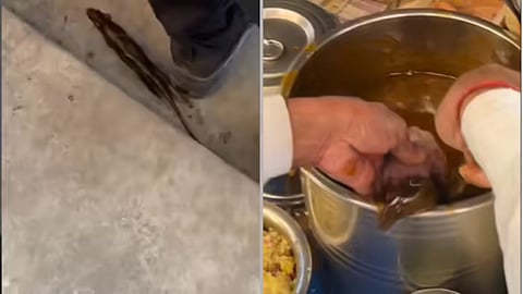 A viral video showing a live rat in golgappa chutney has raised serious concerns about street food hygiene.