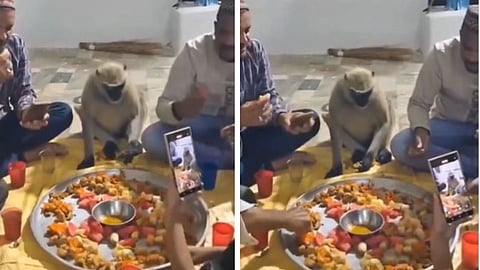 A langur joining devotees for iftar during Ramadan has gone viral on social media.