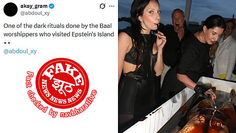 The horrifying image linked to Epstein Island is actually from a 2013 art event, making the viral claim completely false.