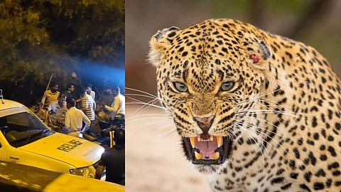 Two members were injured in a leopard attack during a rescue operation in Selu, Wardha. The brave team captured the leopard, but it died during treatment. The post-mortem report is awaited.