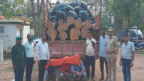 teak smuggling Gadchiroli