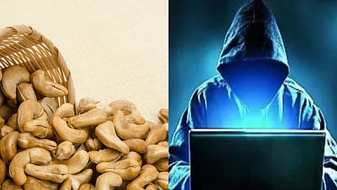 Fraud of Rs. 46.89 lakh committed in the name of cashew nut business; Gangapur police take action; case registered against three people.