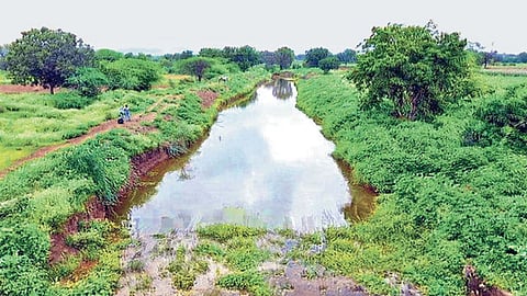 Irregularities exposed in Nashik Zilla Parishad, CEO takes major decision, cancels 58 water conservation projects.