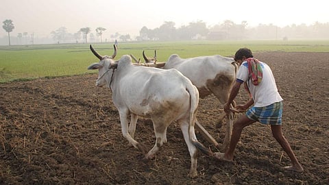 Controversy over the Seed Bill 2025: Reform or control? Will it benefit multinational corporations and harm farmers?