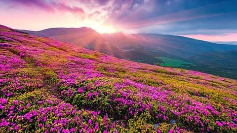 Best Tourist Place In India
