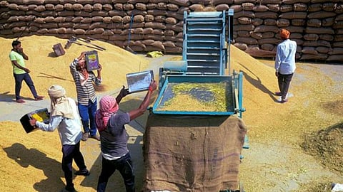 Bhandara Paddy Procurement Crisis News