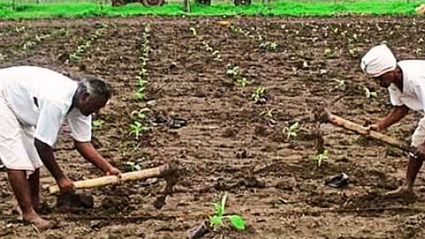 Under the Dadasaheb Gaikwad Scheme in Akola, 96 landless individuals have received 274.75 acres of land since 2017, empowering the SC and Nav-Buddha communities with 100% subsidy.
