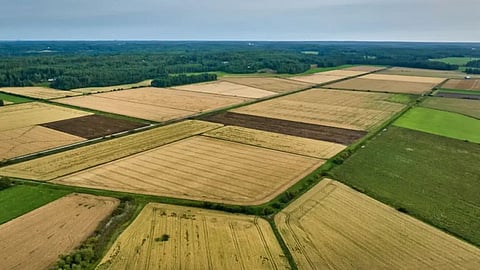 In Wardha, 183 landless families received agricultural land under the Dadasaheb Gaikwad Scheme in 4 years. In 2024-25, 33 beneficiaries were allotted 70 acres of land