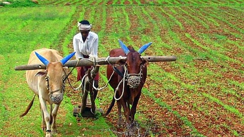Maharashtra Farmer Loan Waiver Scheme News