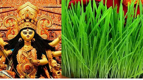 Chaitra Navratri 2026 Jau Importance