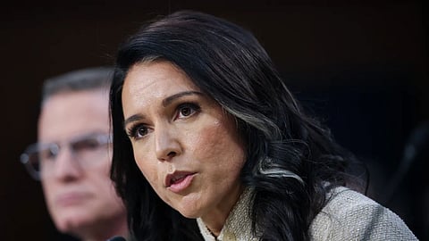 Tulsi Gabbard