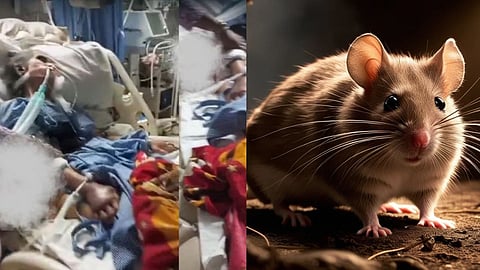 Shocking negligence in Bhayandar, Maharashtra: Rats bit an 89-year-old elderly woman inside the ICU. Family members caught the rat red-handed. Doctors were unaware.