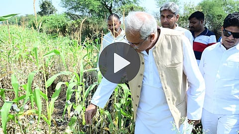 bhupesh baghel in bjp leader opium field
