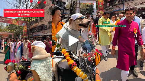 dombivli shobha yatra viral dog