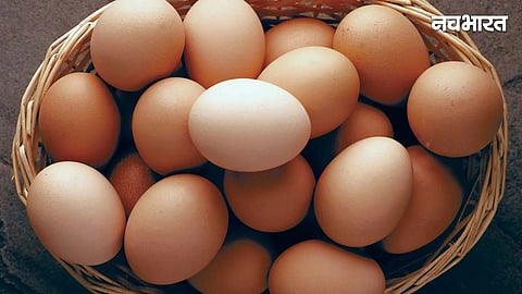 eggs price dropped in india